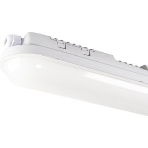 LED's Light Proventa Ledlamp voor vochtige ruimtes met geïntegreerde ledlampen, 118 cm, 36 W, 4300 lumen, 4000 K, IP65, kunststof, grijs, led-lamp voor vochtige ruimtes, led-kuiplamp, ledlamp, ledlamp