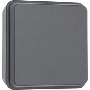 Wandlamp buiten | Berlijn | 2700K | IP54 | 12.5W | Grijs