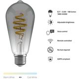 Hombli - Smart Filament Bulb ST64 CCT - E27 - Rookkleur - 5.50 W - 180 lm