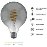 Hombli - Smart Filament Bulb - E27 G95 - Smokey - Globe - Warm Wit Licht - 1 Stuk