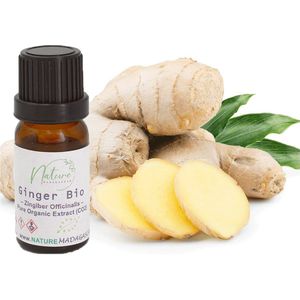 Gember CO2-extract Biologisch - NL-BIO-01