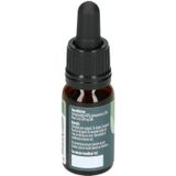 Raw CBD Olie (5%) – 10ML Hemplife