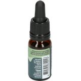 Raw CBD Olie (10%) - 10ML | Hemplife