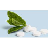 Smyle Tandpasta Tabs Navulling zonder Fluoride 65 stuks