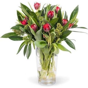 BloomGift | Tulpen boeket | Rode Tulpen met groene Skimmia | Echt kerstcadeau