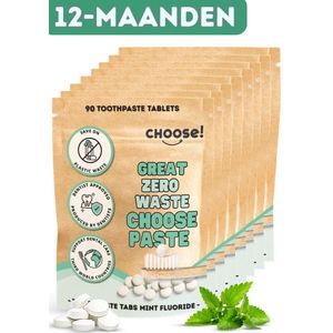 CHOOSE Family Box - 720 Tandpasta Tabletten - Duurzaam - Aanbevolen door Tandartsen - Zero Waste - Vegan - Fluoride - Ecologisch Verantwoord