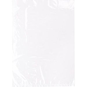 Plastic Zakken 22,9x30,5cm Helder Polypropyleen (100 stuks) | Plastic zak