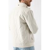 TOM TAILOR - Sweatvest - Lichtbruin