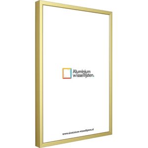 Aluminium Wissellijst A3 29.7x 42 Mat Champagne Goud - Helder Glas - Professional