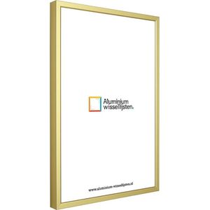 Aluminium Wissellijst 50 x 70 Mat Champagne Goud - Helder Glas - Professional