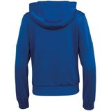 The Indian Maharadja - Jaipur - Jas - Cobalt