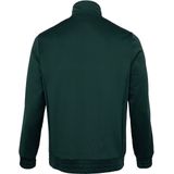 The Indian Maharadja - Jaipur Performance - Jas - Groen - Polyester