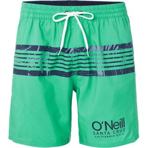 O'Neill - PM CALI STRIPE SHORTS - Blauw - Katoen