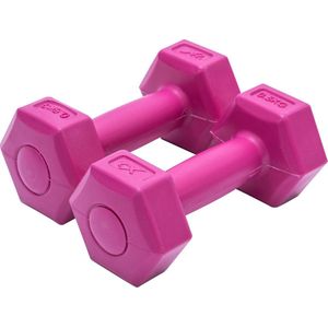 Xq Max Dumbbell 0,5 Kg Cement 2 Stuks Roze