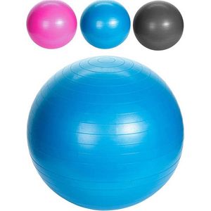 Yoga ball XQ Max Ø 55 cm