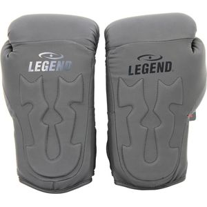 Legend Sports Bokshandschoenen Power Rangers Matzwart Mt 10oz