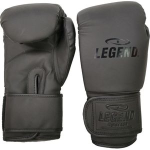 Legend Sports Powerfit & protect bokshandschoenen heren/dames mat pu