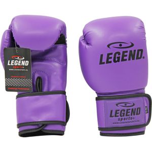 Legend Sports Powerfit & protect bokshandschoenen heren/dames pu