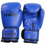 Legend Sports Powerfit & protect bokshandschoenen heren/dames pu