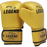 Legend Sports Powerfit & protect bokshandschoenen heren/dames pu