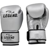 Legend Sports Powerfit & protect bokshandschoenen heren/dames pu