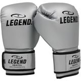 Legend Sports Powerfit & protect bokshandschoenen heren/dames pu