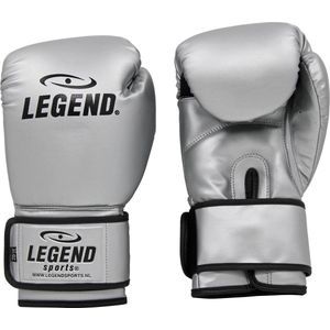 Legend Sports Bokshandschoenen Powerfit & Protect Zilver Mt 16oz