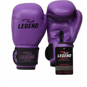 Legend Sports Kinder bokshandschoenen 4-8 jaar 4oz/6oz pu