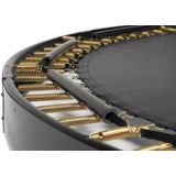 Salta Royal Baseground - rund - Ø251cm - 8,23ft - Schutzrand Schwarz