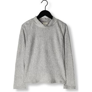 Ai Ko Zera Plisse Pes 165 G Tops T-shirts Meisjes - Shirt - Zilver2