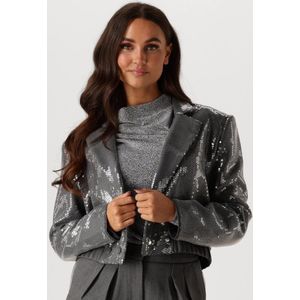AAIKO Mille Sequins Pes 356 Blazers Dames - Grijs - Maat S