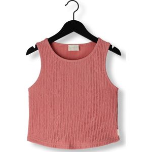 Ai&Ko Daira Pes 145 G T-shirt Meisjes - Roze