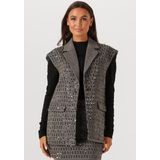 Aaiko - IVANNA - Blazer - Grijs - Mouwloos - Met Pailletten