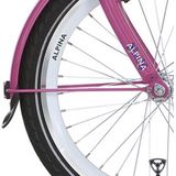 Alpina Spatbordstang set 22 candy pink