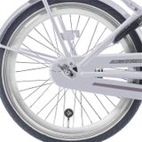 Alpina achterwiel 20 hlqc ocean/clubb zilver zink spk