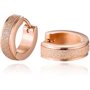 Stalen - Stardust - Oorringen - Roze - Edelstaal - Geschenkverpakking