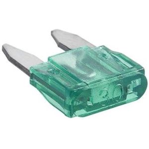 ProPlus Mini-steekzekering - 30 ampère - groen - voor auto's en vrachtwagens