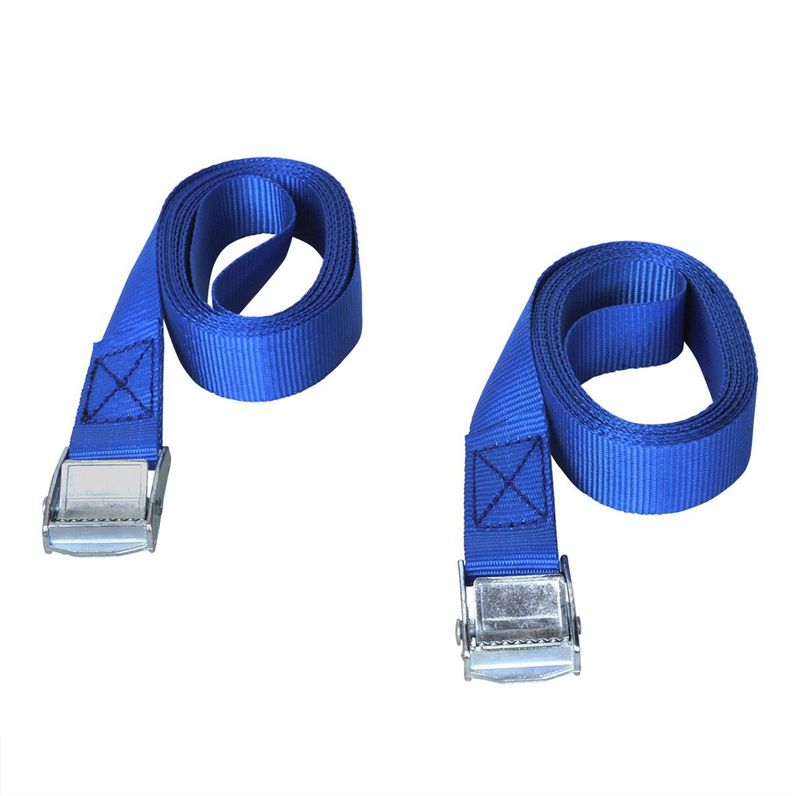 ProPlus Spanband met snelsluiting - 25 mm breed - 2,5 meter lang - set van 2 - blauw