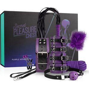 Secret Pleasure Chest - Purple Apprentice - Zwart