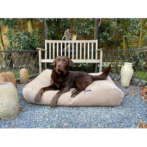 Dog's Companion Hondenkussen / Hondenbed - XL - 140 x 95 cm - Lever double Ribcord