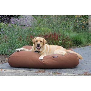 Dog's Companion - Hondenkussen / Hondenbed Mokka Extra Small - XS - 55x45cm