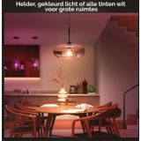 Philips Hue standaardlamp E27 Lichtbron - wit en gekleurd licht - 1-pack - 1600lm - Bluetooth