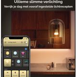 Philips Hue standaardlamp E27 Lichtbron - warm tot koelwitlicht - 1-pack - 1600lm - Bluetooth