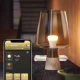 Philips Hue White E27 1100lm Duo pack