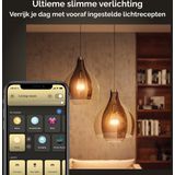 Philips - Hue E27 Slimme Lamp - Wit Licht - Geen Specificaties