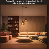 Philips - Hue E27 Slimme Lamp - Wit Licht - Geen Specificaties