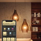 Philips Hue starterkit - warm tot koelwit licht - 2 lampen - E27 - 1100lm - 1 dimmer switch