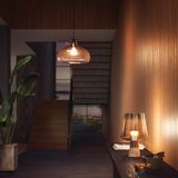 Philips Hue White E27 800lm Duo pack