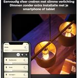 Philips Hue Kaarslamp Lichtbron E14 - zachtwit licht - 5,2W - Bluetooth