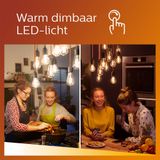 Philips LED Kogellamp Mat - 40 W - E27 - Dimbaar warmwit licht